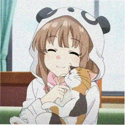 用户头像
